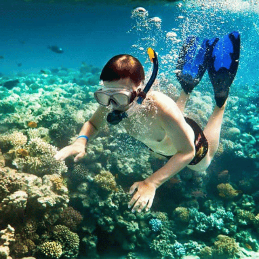 Khách sạn mặt biển Sơn Trà, khách sạn mặt biển Đà Nẵng, khách sạn view biển Đà Nẵng, khách sạn Đà Nẵng giá rẻ, khách sạn Sơn Trà Đà Nẵng, khách sạn gần biển Mỹ Khê, khách sạn view biển đẹp Đà Nẵng, khách sạn gần cầu Rồng Đà Nẵng, khách sạn nghỉ dưỡng Đà Nẵng, khách sạn gia đình Đà Nẵng