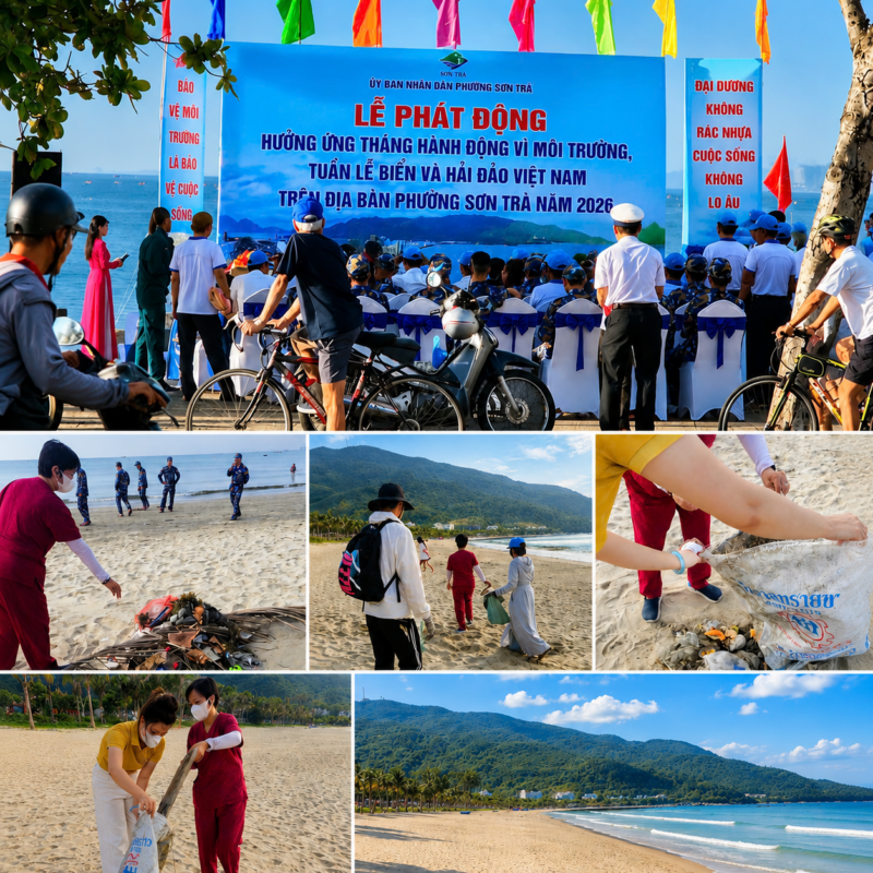 Sontra Sea Hotel, Chung Tay Bảo Vệ Môi Trường Biển Sơn Trà, Khách sạn mặt biển Sơn Trà, khách sạn mặt biển Đà Nẵng, khách sạn view biển Đà Nẵng, khách sạn Đà Nẵng giá rẻ, khách sạn Sơn Trà Đà Nẵng, Khách sạn gần biển Sơn Trà, khách sạn view biển đẹp Đà Nẵng, khách sạn gần cầu Rồng Đà Nẵng, khách sạn nghỉ dưỡng Đà Nẵng, khách sạn gia đình Đà Nẵng"